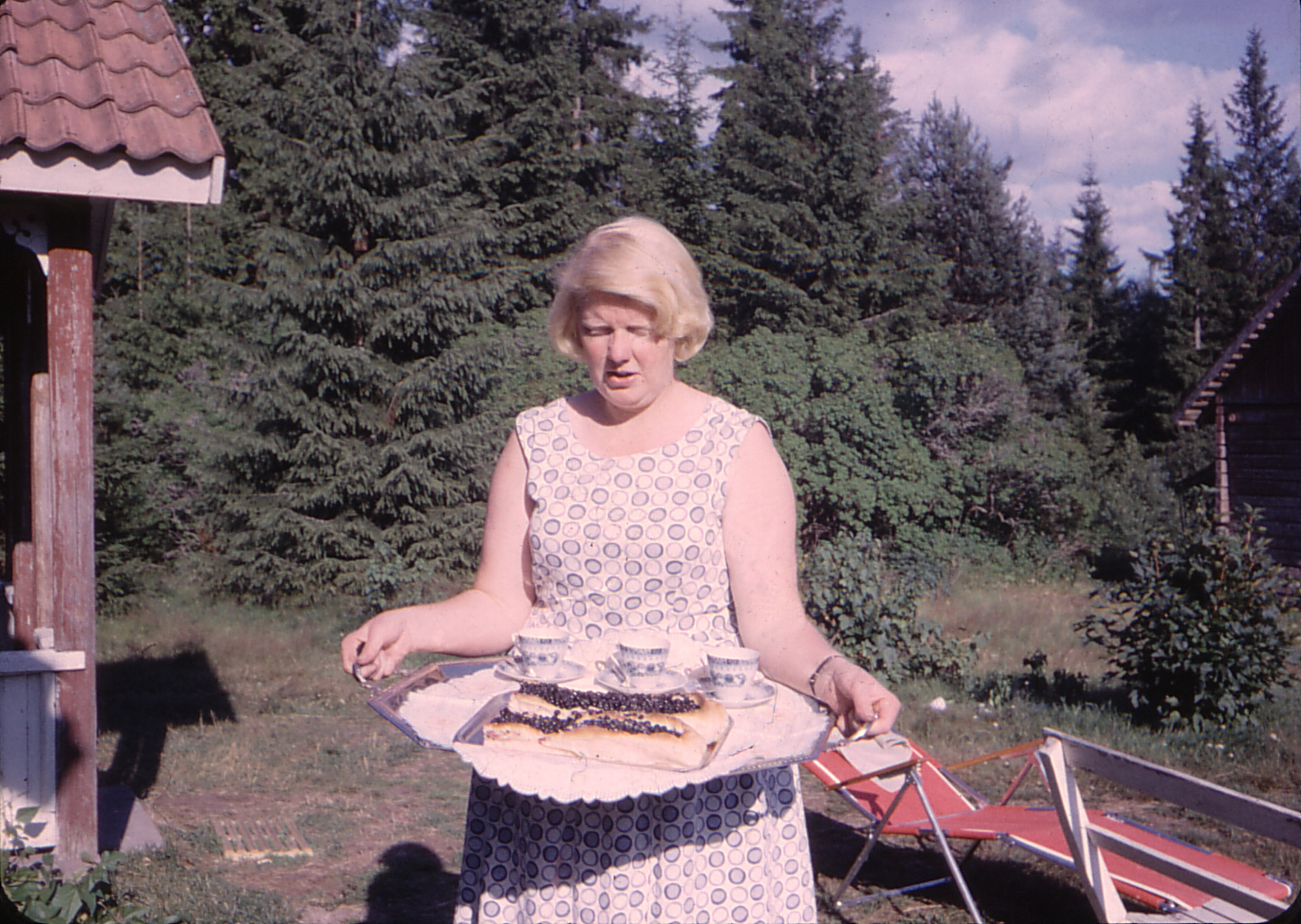 1966 Kerstin med blåbärskakor